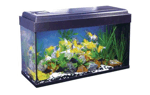 Acuario Europa Kit completo 200 Litros